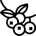 Sea Buckthorn icon